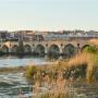 De Puente de Palmas