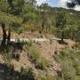 De weg naar de Meandro del Melero